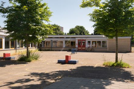 Primary School Lux