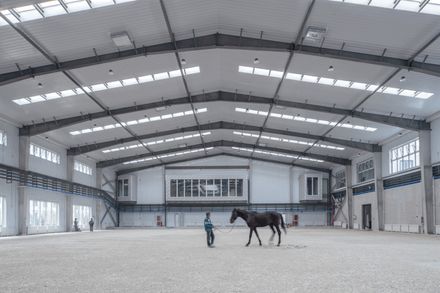 Yue & Yue: Art Museum + Equestrian Hall