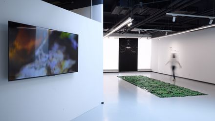 Yue & Yue: Art Museum + Equestrian Hall