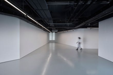 Yue & Yue: Art Museum + Equestrian Hall