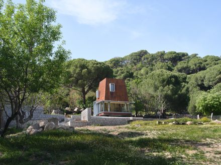 Cabin in Woods