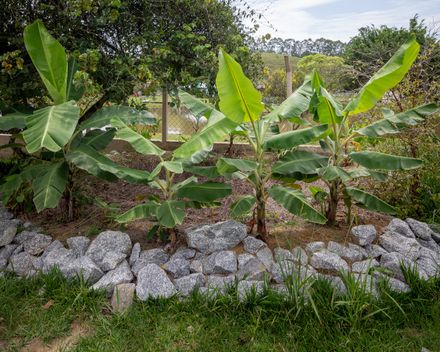 A Sustainable School Brazil