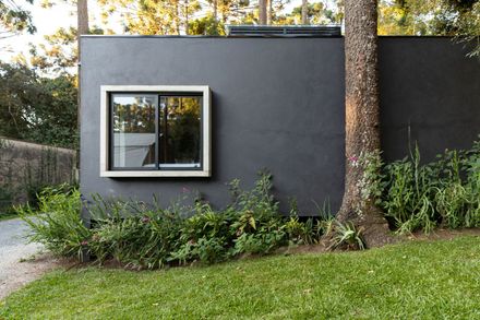 Araucarias House