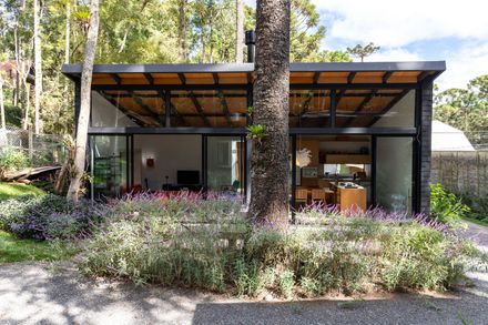 Araucarias House