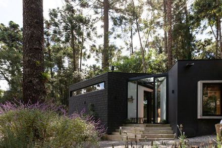 Araucarias House
