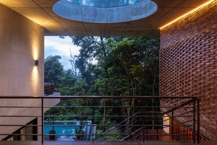 The Rainforest Residence