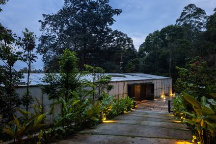 The Rainforest Residence