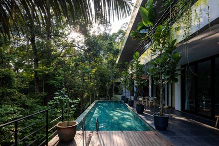 The Rainforest Residence