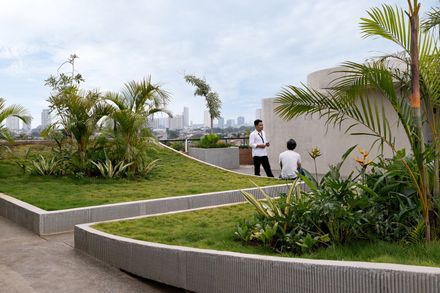 Sagehaus Office Garden