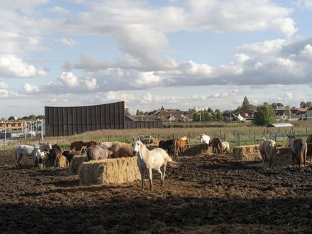Gymnase Marie Marvingt au Plessis-Bouchard