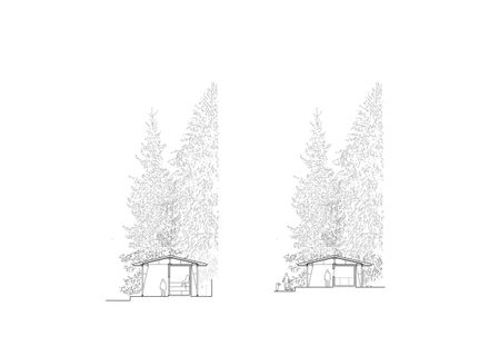 Forest Pool