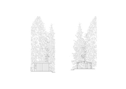 Forest Pool