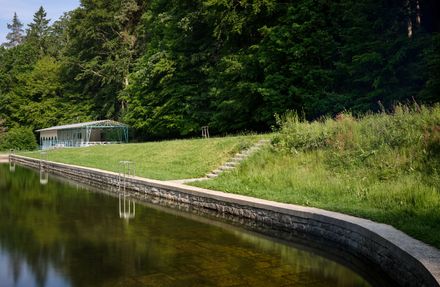 Forest Pool