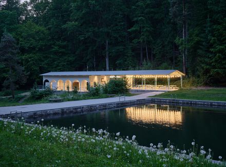 Forest Pool