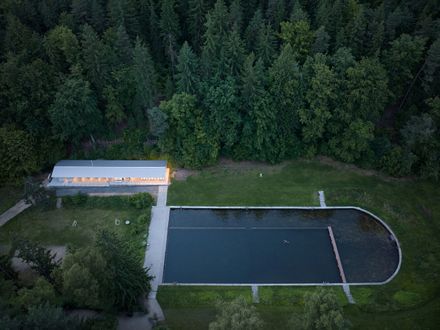 Forest Pool
