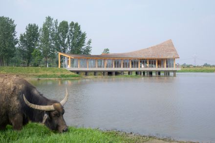 The Driftwood Village Center