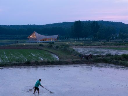 The Driftwood Village Center