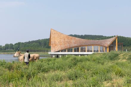 The Driftwood Village Center