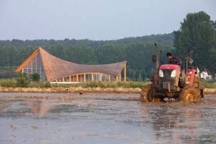 The Driftwood Village Center