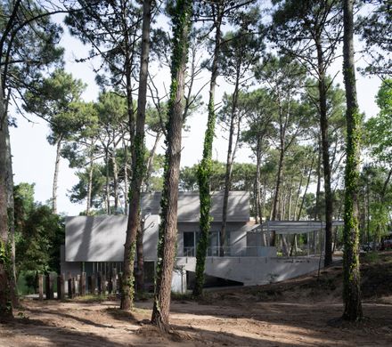 Choique House