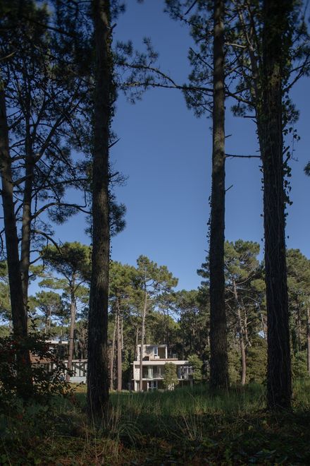 Choique House