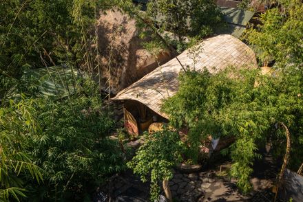 The Living Bridge