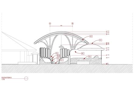 The Living Bridge