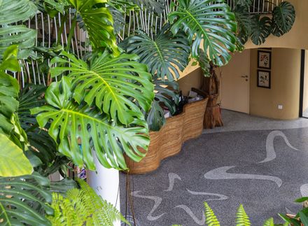 Saha Casa Boutique