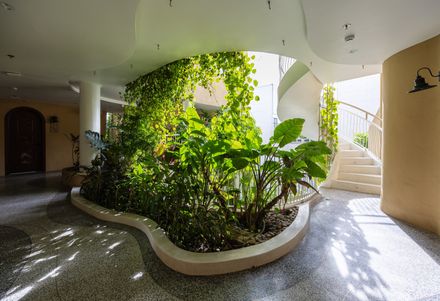 Saha Casa Boutique