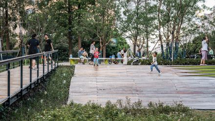 The Deck