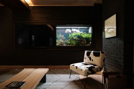Noirhaus