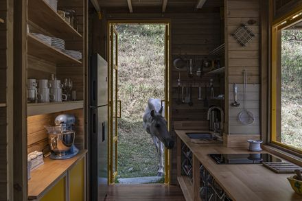 Lamarilla Reforestation House