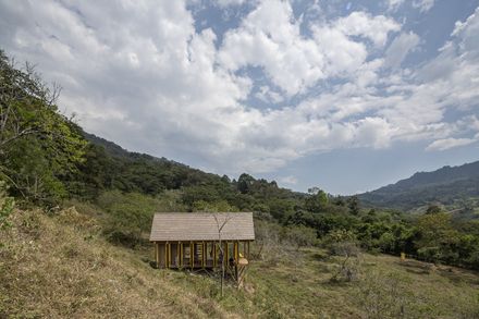 Lamarilla Reforestation House