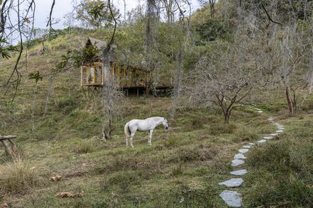 Lamarilla Reforestation House