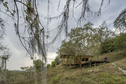Lamarilla Reforestation House