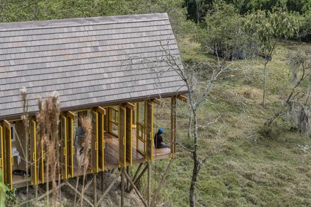 Lamarilla Reforestation House