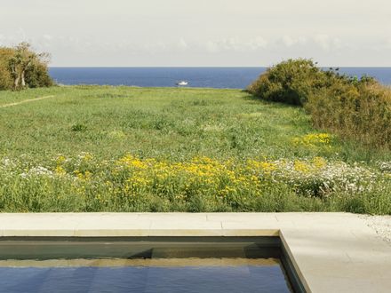 Patio House