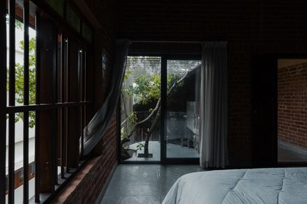 Of Trees and Gods and Mud House