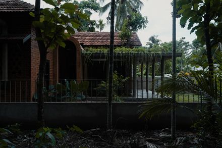 Of Trees and Gods and Mud House