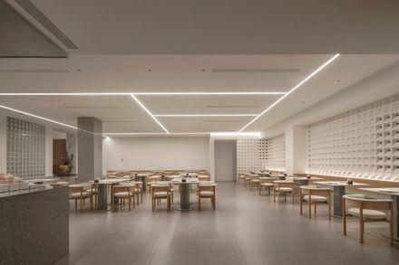 Joyous Spring Wellness Center