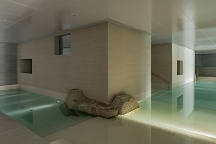 Joyous Spring Wellness Center