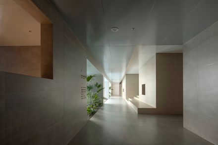 Joyous Spring Wellness Center