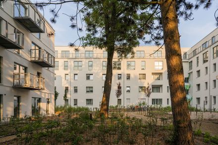 Timber Residential Construction Kit