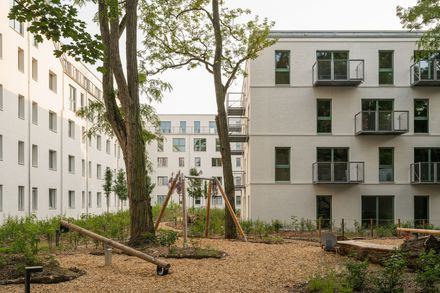 Timber Residential Construction Kit