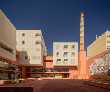 Canning Factory