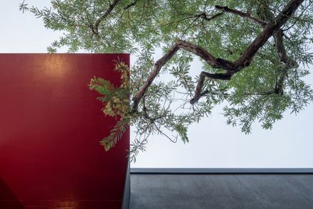 Akamori Restaurant