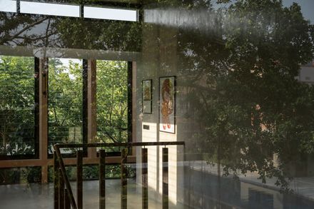 Banyan Tree House