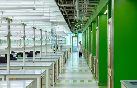 The Ragon Institute
