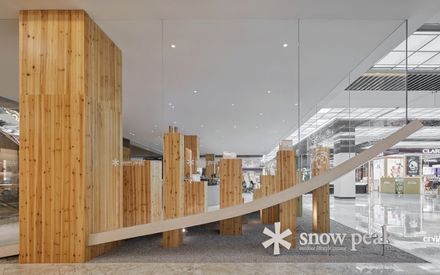 Snow Peak Matro Department Store