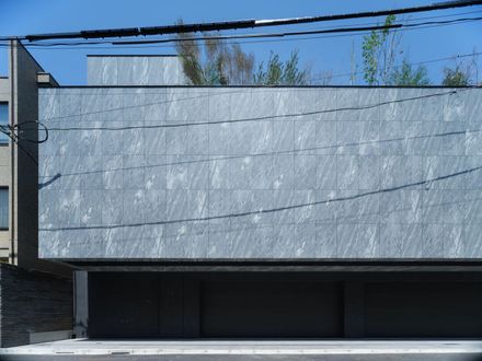 Stealth House